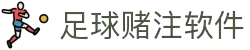 足球软件 - 登录入口与应用下载中心